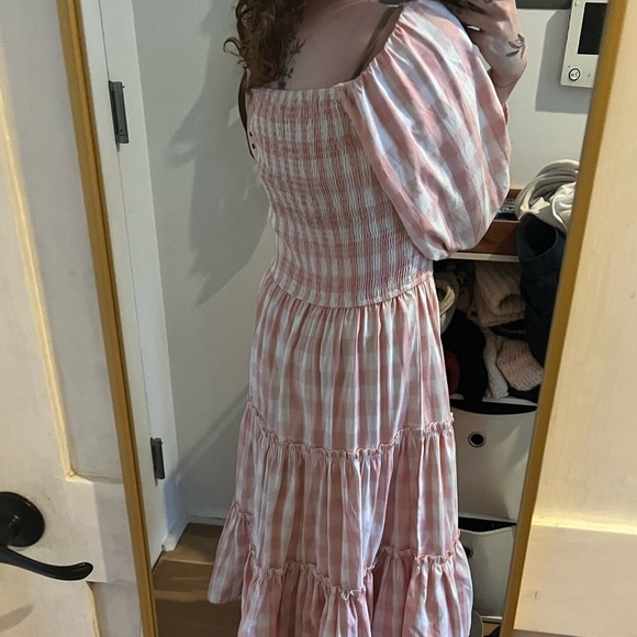 Ivy City Pink Check Dress - Picture 3 of 4